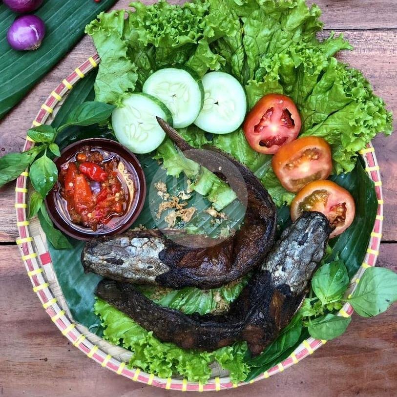 BEDA (Bebek Goreng Dada) menu Bebeke Om Aris, Dipatiukur