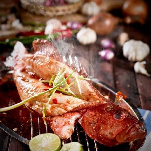 Ikan Kerapu Tim Hongkong menu Cabe IJO, Batu Ceper