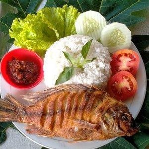 Paket Ati Ampela Goreng + Nasi menu Pecel Lele Arela dan Soto Lamongan, Sewon