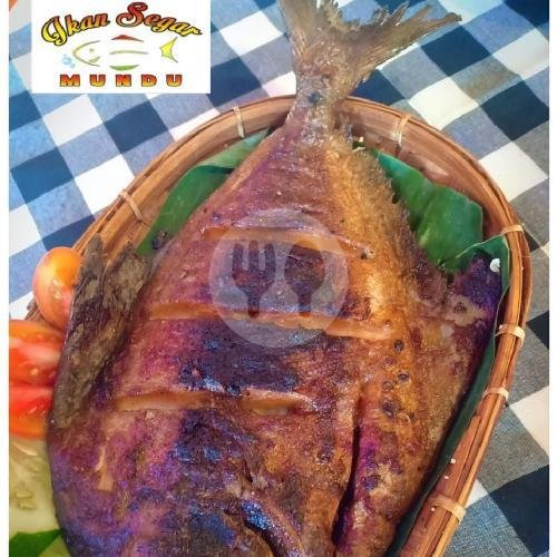 Paket Kerang Ijo Saos Padang / Asam Manis menu Ikan Segar Mundu, Taman
