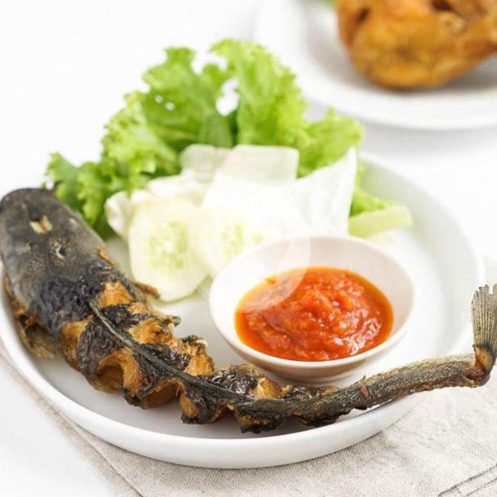 Lele Bakar menu Bebek Merapi Megasari, Phh Mustofa No12