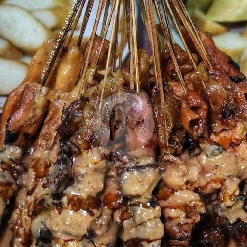 Sate Kulit / Jeroan Ati 10 Tusuk menu Warung Sate Ayam Santo Sidjan, Diponegoro