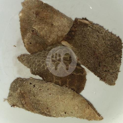 Usus Kambing/ Pcs menu Tiga Saudara Sop Kaki Kambing, Kuliner Up2u