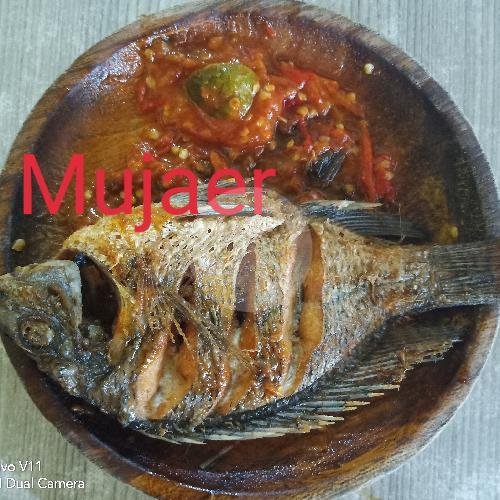 Tahu Tempe Terong menu Paspalupi, Rungkut