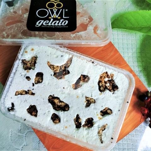 Ice Cream Durian Monthong (Box 650ml) menu Owl Gelato Ice Cream Soehat, Lowokwaru