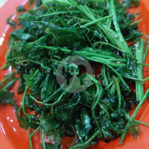 Ayam Goreng menu Warung Nasi Kang Ewok, Astina