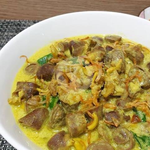 Paket Nasi Opor Usus Ayam menu Narendra Catering, Gayamsari