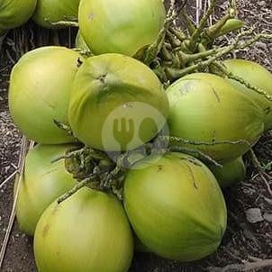 Kelapa Muda Murni  + Gula Batu ( cup jumbo ) menu Kelapa Muda Murni, Pogung Lor