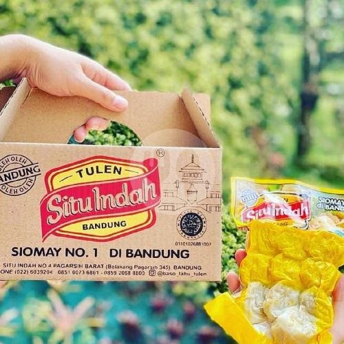 3 Pak Siomay Vakum Frosen Dengan Dus menu Baso Tahu Tulen Situ Indah, Gatot Subroto